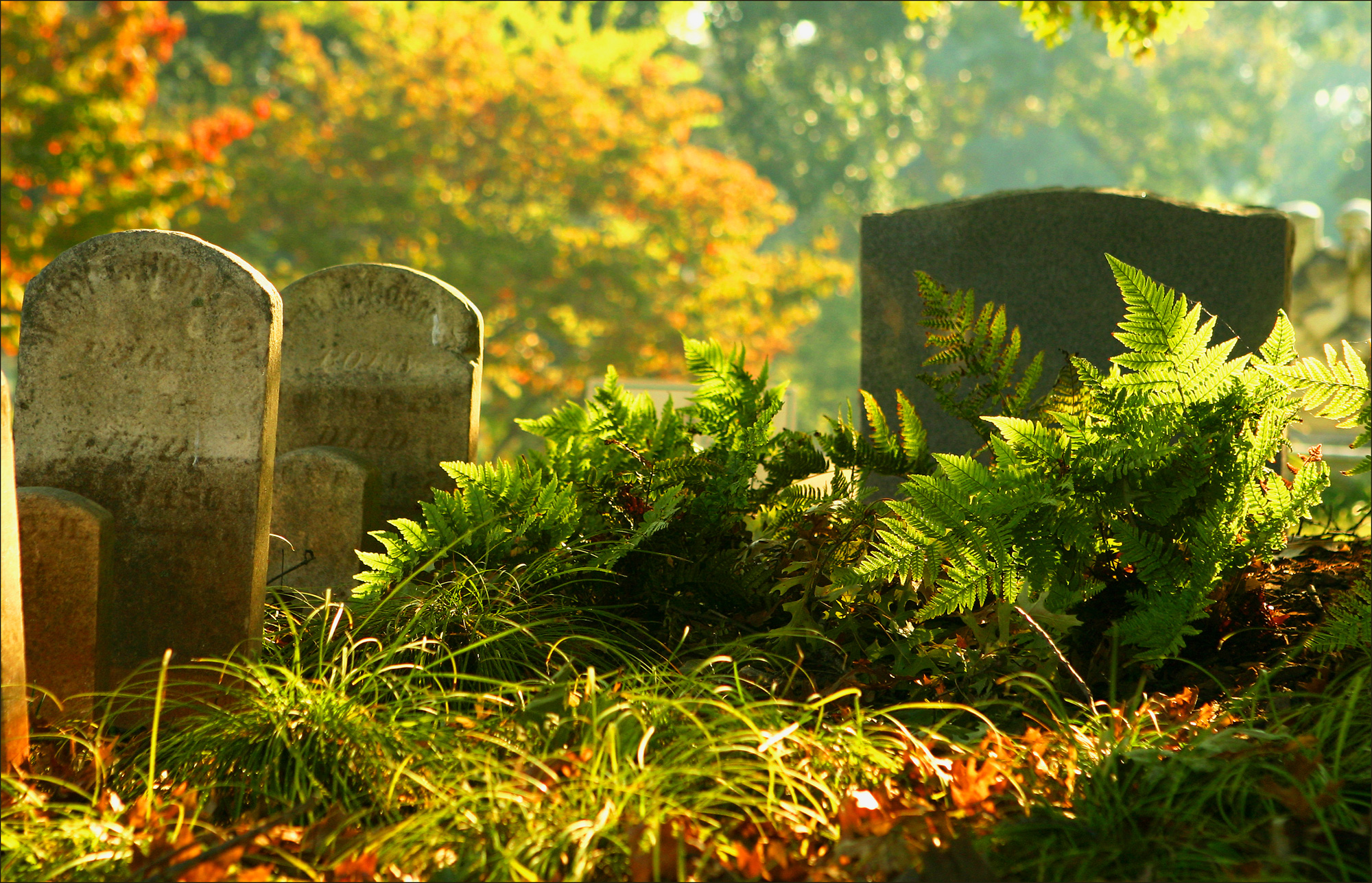 乔治亚州亚特兰大奥克兰公墓的墓碑。图片来自Dinny Addison