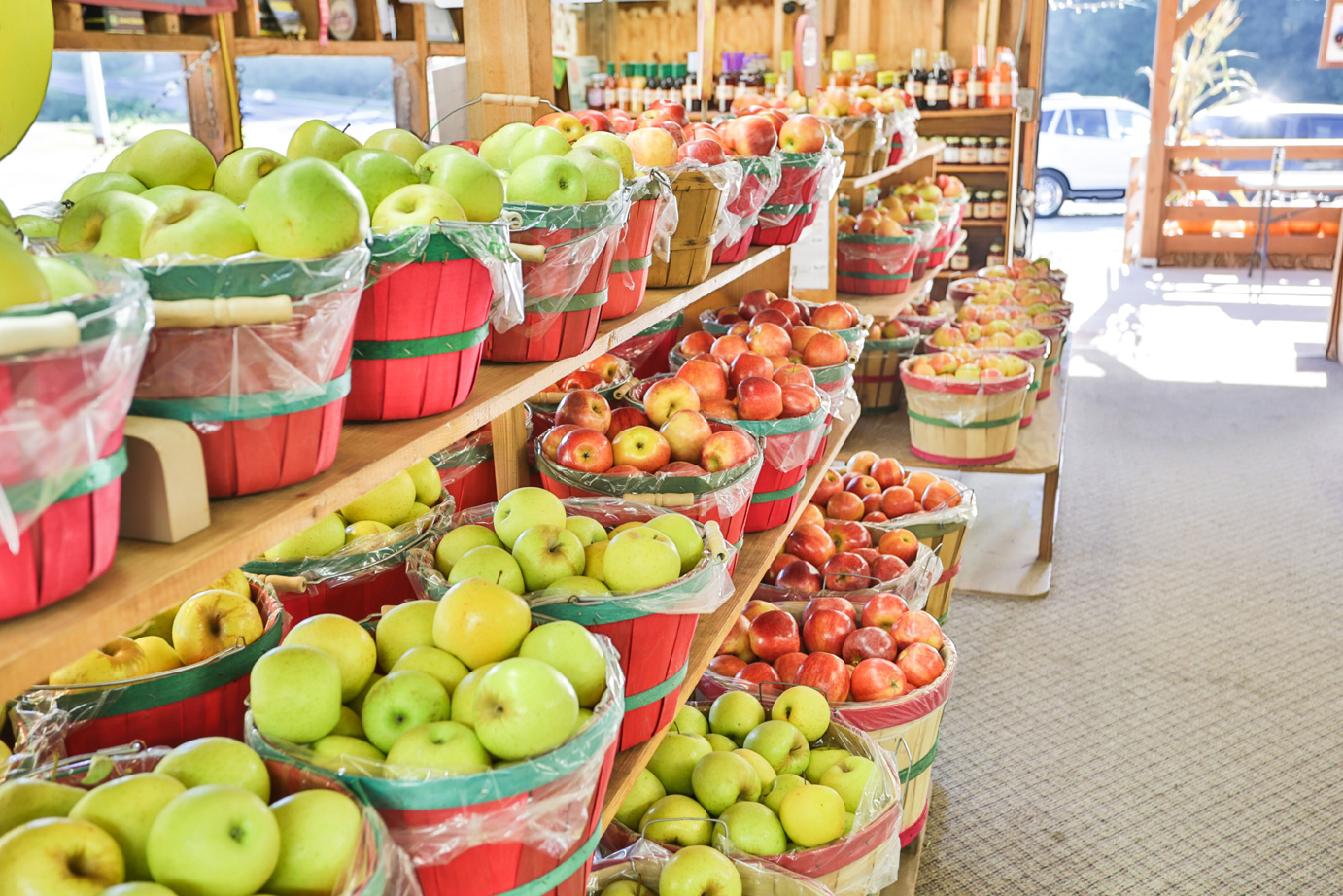 乔治亚州埃利杰红苹果仓库里的一篮子苹果