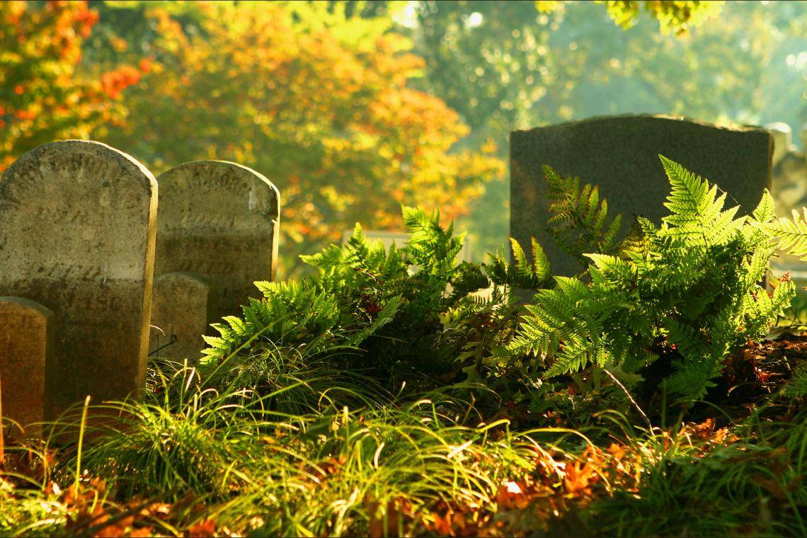 奥克兰公墓在亚特兰大，乔治亚州。图片来自Dinny Addison